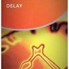 Carex Condoms Delay 12 Count
